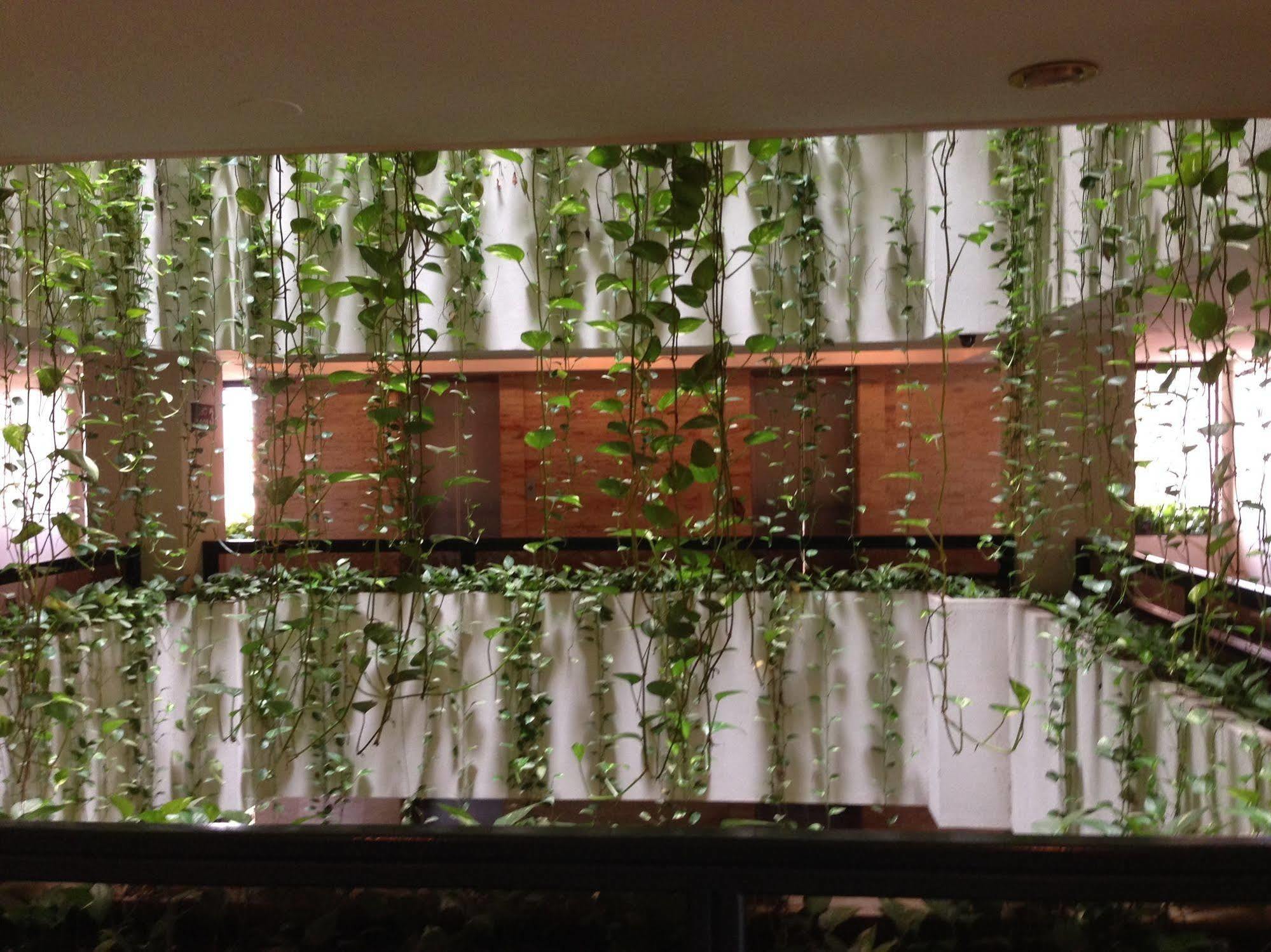 Apart Hotel Toborochi 圣克鲁斯 外观 照片